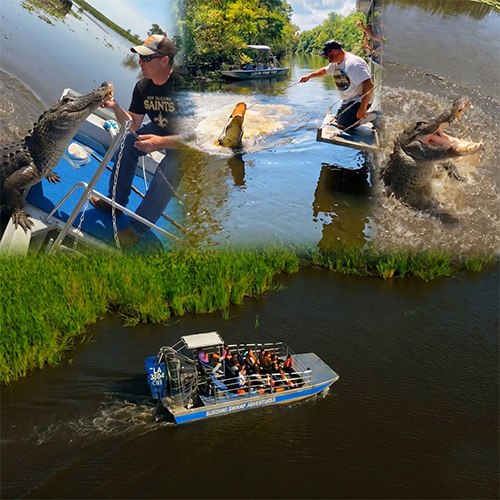 Louisiana swamp tour experience